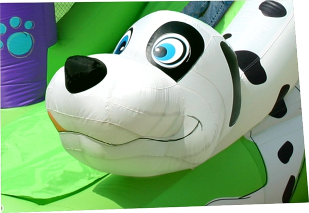 6 מתקן קפיצה כלבלב דלמתי 9109