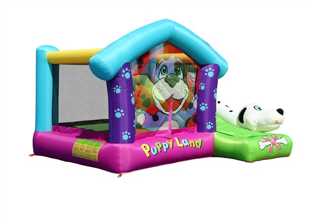 IMG_216要4 מתקן קפיצה כלבלב דלמתי 9109