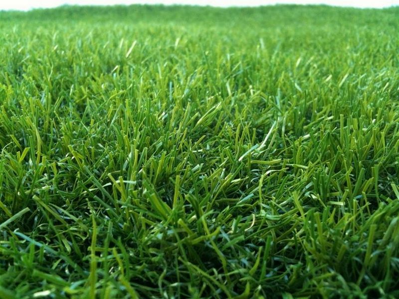 V484185 דשא סינטטי עוז מיקס