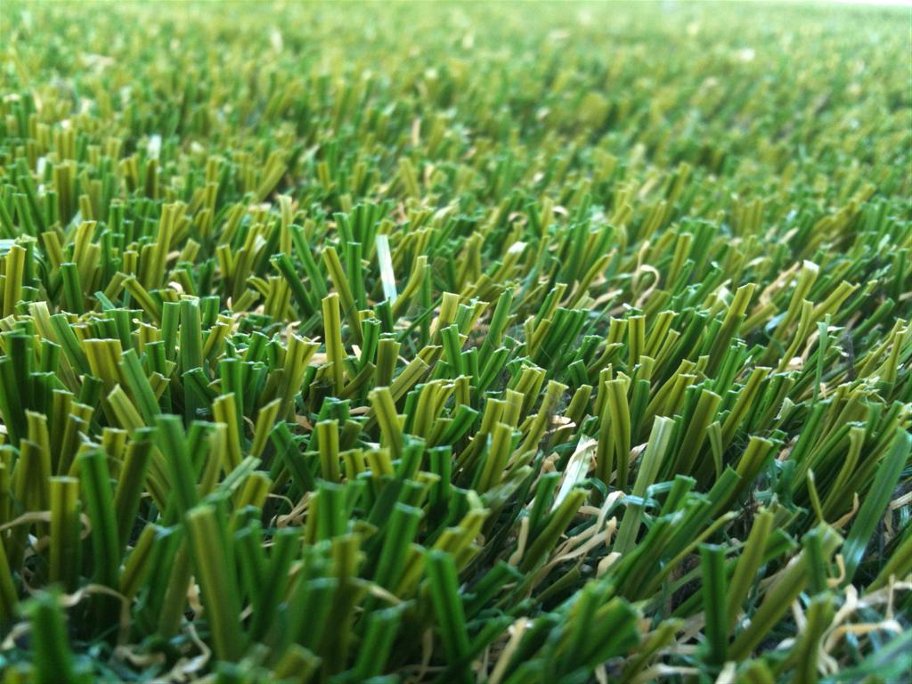 X398751 עוז רויאל טורנדו