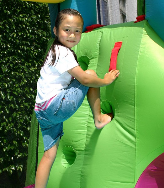 Y697671 מתקן קפיצה כלבלב דלמתי 9109